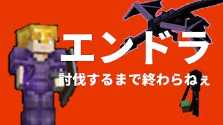 【女性実況】エンドラ倒すまで終われません【マインクラフトJava版　エンダードラゴン耐久】 screenshot 3
