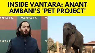 Anant Ambani's Vantara | Reliance Foundation's Anant Ambani's Animal Rescue \& Care Facility