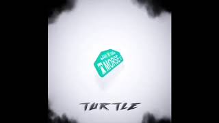 Turtle - Into you ft. Pacman stackz (prod.by finfinesse)