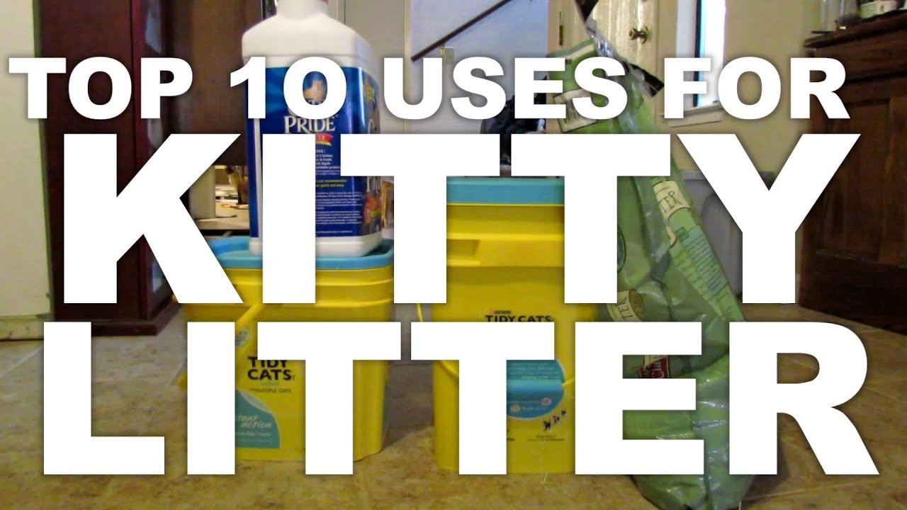 TOP 10 USES FOR KITTY LITTER YouTube