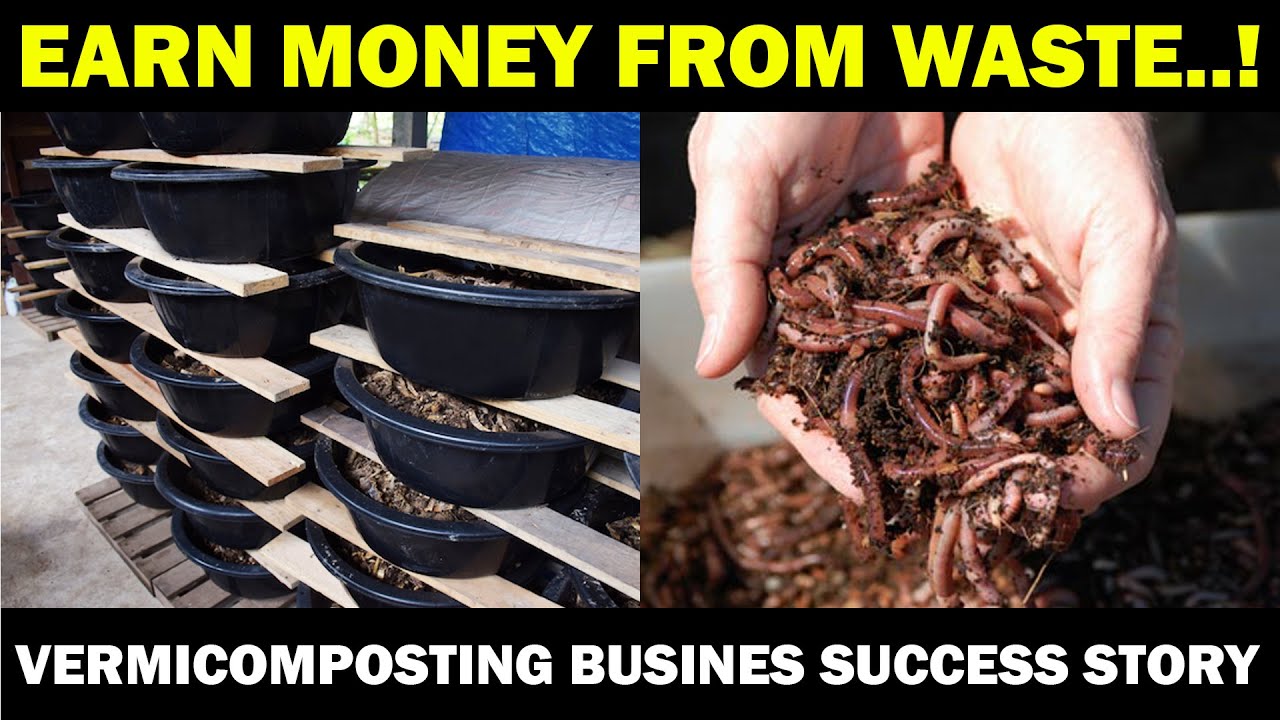 vermicompost business plan