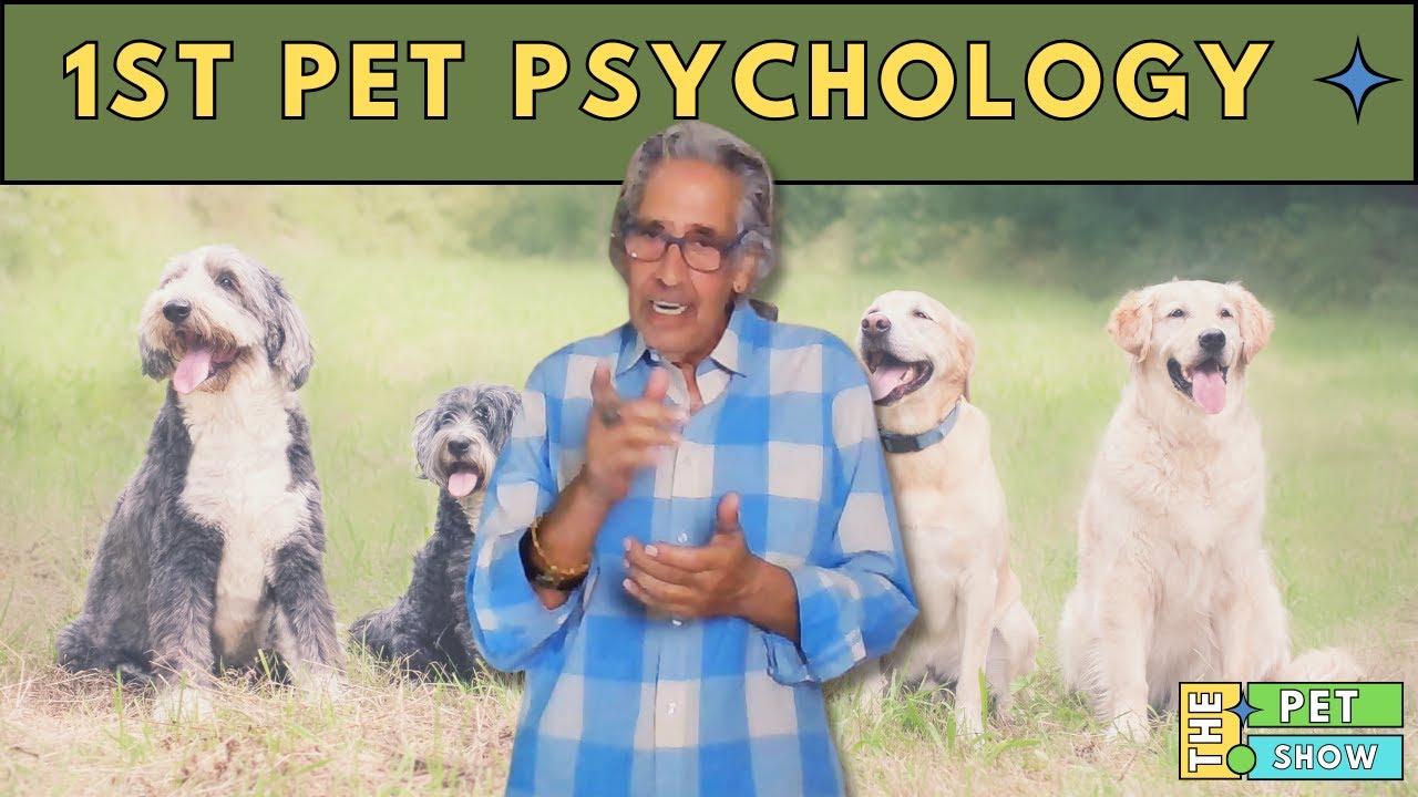 First Pet Psychology YouTube