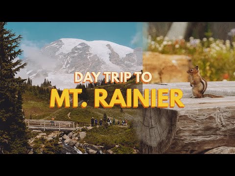 Video: Sådan ser du Mount Rainier i Seattle