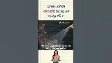 RÙA BIẾT TUỐT | Tại sao núi lửa dưới biển không thể bị dập tắt ? #shorts