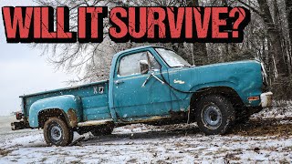 BARN FIND 1979 Dodge D100 Step Side - Will It Run, Drive, & Work After Sitting for Years?