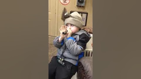 5 year old using Ed Sceery coyote calls!