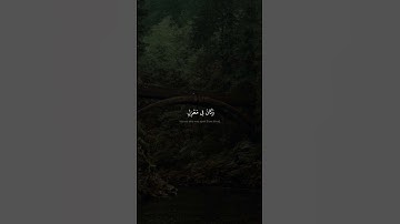 وَهِيَ تَجۡرِي بِهِمۡ فِي مَوۡجٖ كَٱلۡجِبَالِ | محمد صديق المنشاوي | سورة هود