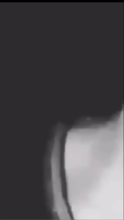 Shiloh dynasty, save my love❤️