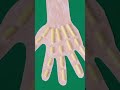 Easy And Fun Paper Hand Activity For Kids Shorts Kidsactivities 