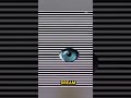#opticalillusion #trippy #neildegrassetyson #mindtricks #hack #magic #mushroom #visuals #asmr #fyp
