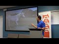 Performance equine veterinary services  1 million cups ocala