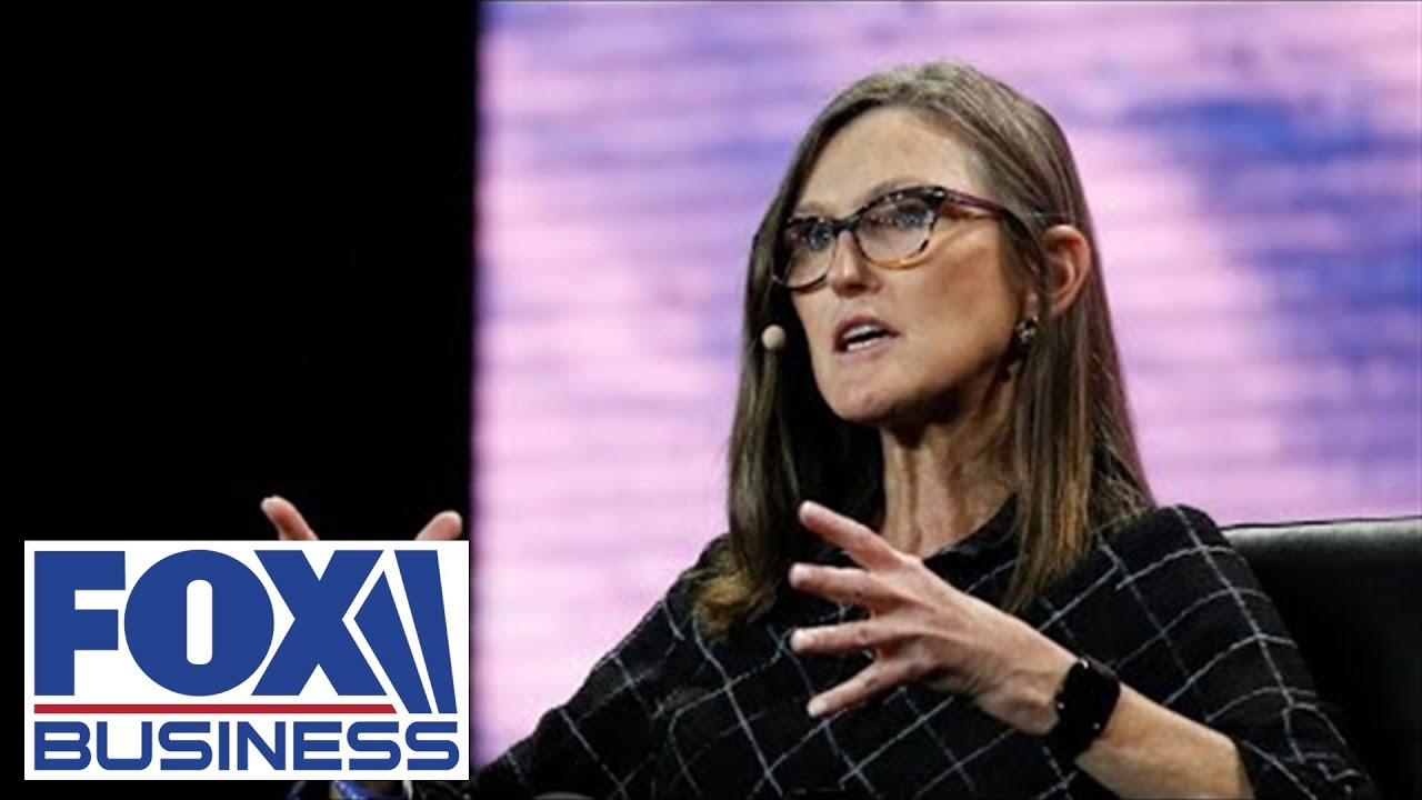 Cathie Wood: Tesla is the ‘most profound’ AI company out there
