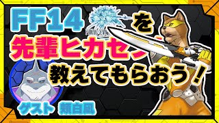 #15 【新生編】初心者ヒカセンが、ベテランヒカセンに色々教えてもらいます！／【RPG】カラシと頬白凪(@HohojiroNagi )の「FINAL FANTASY XIV -新生編-」