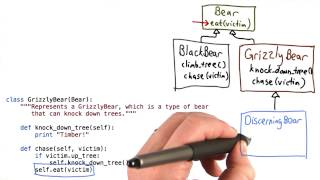 Define Discerning Bear - Intro to Computer Science