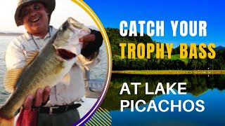 Hottest Bass Fishing Destination - Lake Picachos in Mexico
