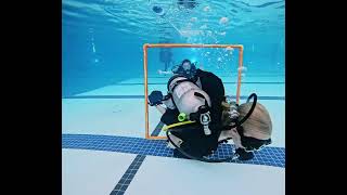 SCDiving | Bubblemakers and Seal Team - 𝗞𝗶𝗱𝘀 𝗖𝗮𝗻 𝗗𝗶𝘃𝗲 𝗧𝗼𝗼!
