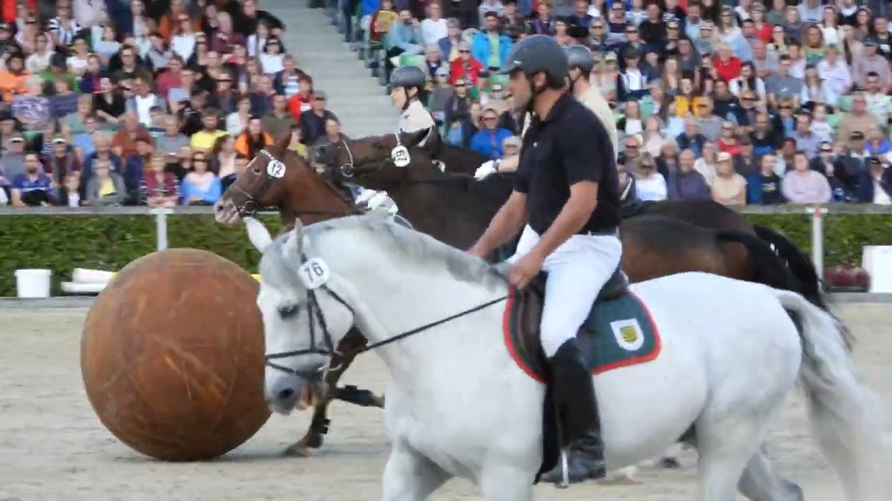 Hengstparade Moritzburg 2023 - Teil 2 -Sachsens Landgestüt Moritzburg - Pferdesport, Pferdearbeit