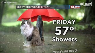 Betty The Weather Cat Helps Local Weatherman | More in Common screenshot 5