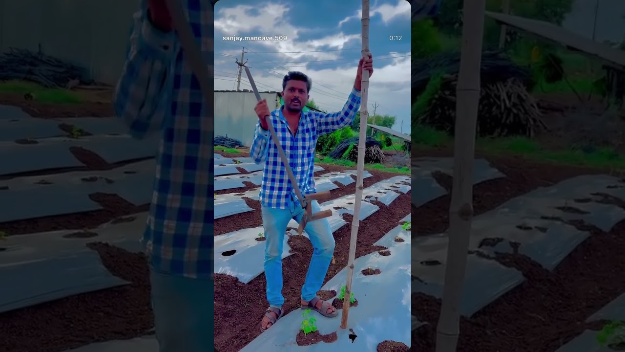 Bamboo lavnyacha jugaad🤩 