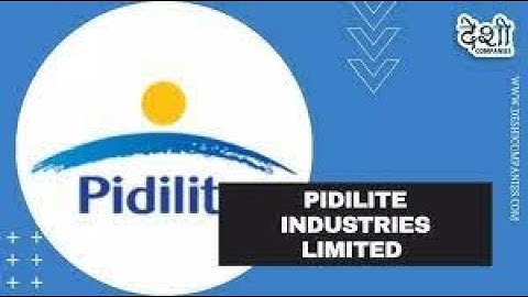 Accountancy Project Pidilite Industries 2023 CASH FLOW #accountancyclass12 #class12project #accounts
