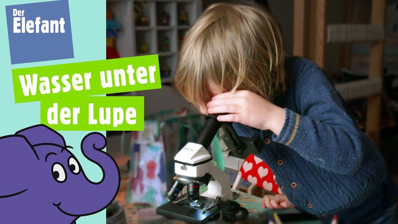 Was ist ein Pantoffeltierchen? | Der Elefant | WDR