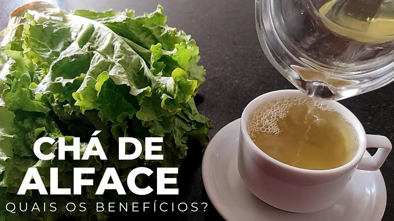 PRA QUE SERVE O CHÁ DE ALFACE? DESCUBRA OS BENEFÍCIOS DESTE CALMANTE ...