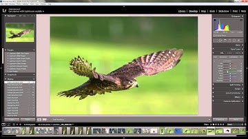 HSL Colour and B&W Setting in Lightroom 5