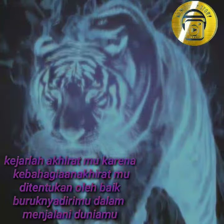 Story wa  macan putih 30 detik