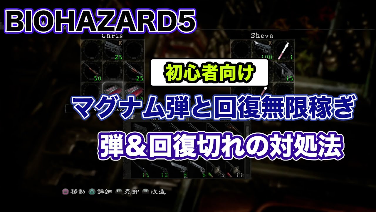 バイオ 5 金 稼ぎ