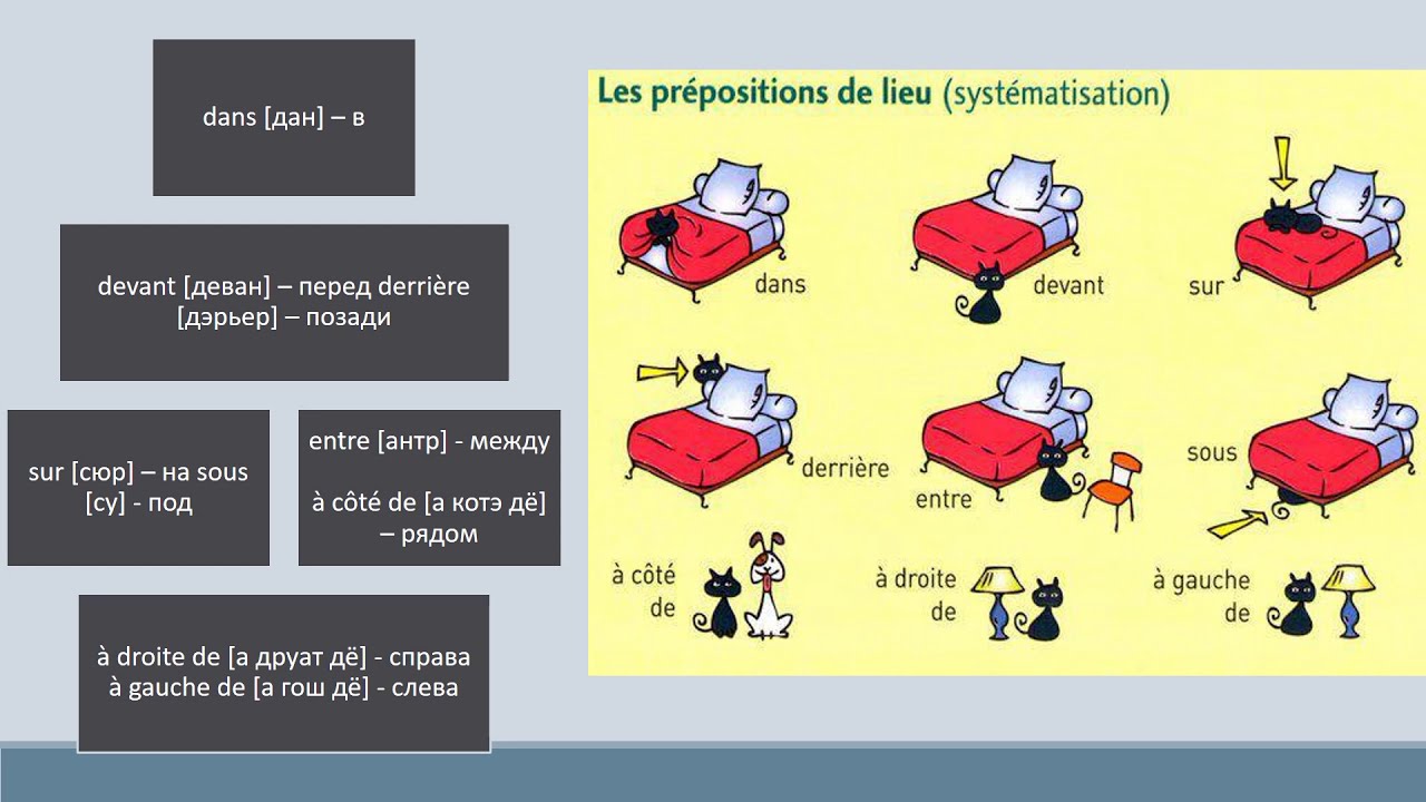 Грамматика французского языка в таблицах и схемах