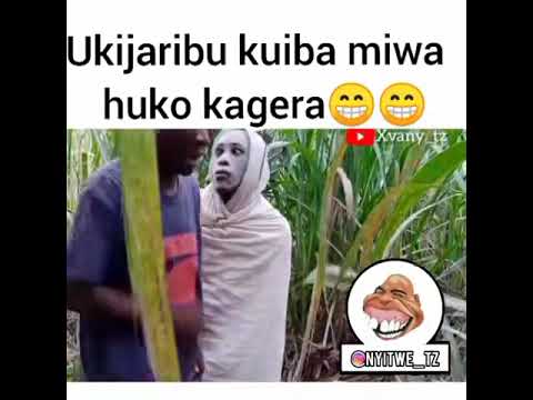 DAWA YA WEZI SHAMBANI DAWA YA WEZI SHAMBANI