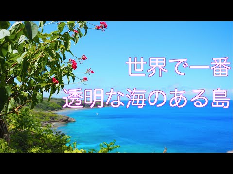 夏っ 世界で一番キレイな海 これが聖地ロタ島だ Youtube