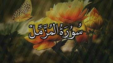 سورة المزّمّل_تلاوة هادئة 😍_القارئ || توفيق أمين
