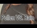 Pollen vs. rain