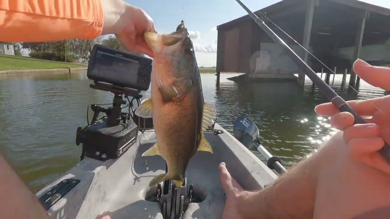 Shallow Afternoon Bass Fishing In The Hobie