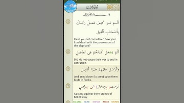 Quran: chapter AL-FIL(THE ELEPHANT) ¦¦ القرآن الكريم سورة الفيل #quran #القرآن #سورة_الفيل