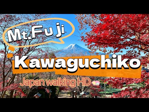 Kawaguchiko Best Viewing Spots of Mt. Fuji | Exploring Lake Kawaguchi Japan