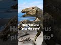 Dinosaurio Hadrosaurio Descubierto con piel fosilizada #shorts