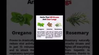 herbs freshherbs advice shorts health healthylifestyle hotdrink healthtips