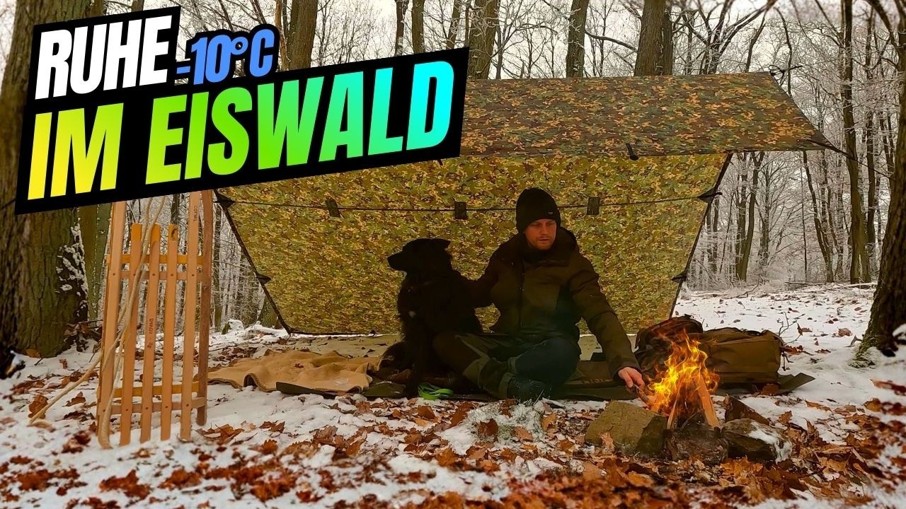 Eiskalte Entspannung bei Schnee und Eis mit Schlitten und Hund