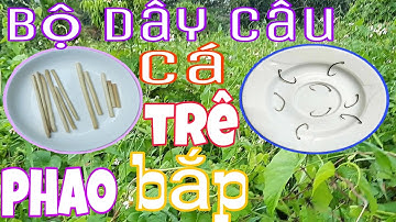 Làm Bộ Dây Câu Cá Trê Rất Hay Từ Phao Bắp @GiaiTriDoDayVlog