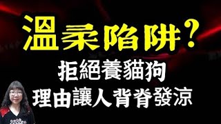 你以為是在愛牠，其實可能是在結下輪迴因緣？佛法談養寵物的真相與警示！吃齋30年，為何投胎成豬？12位愛寵藝人盤點！佛教為何勸人不要與寵物結纏緣？