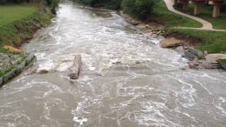 Standing Wave