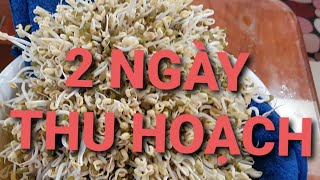 NÔNG NGHIỆP THÔNG MINH