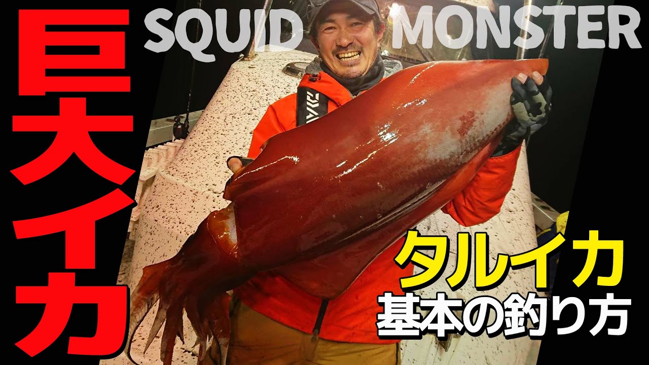 巨大イカ タルイカ を狙う 基本の釣り方 Anisakis公式チャンネル Youtube