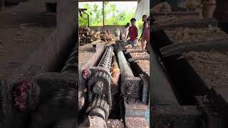 Wooden timber plywood core cutting 👌😱|#woodworking #peeling #shorts