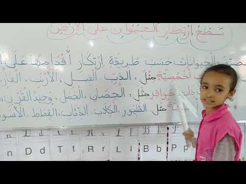 ملخص درس سطح ارتكاز الحيوان على الأرض تربية علمية سنة ثالثة ابتدائي