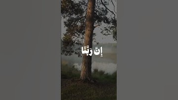 الحمدلله || القارئ : عمر بن ضياء الدين|| سورة فاطر (٣٤) || #قرآن #اكسبلور #عمر_بن_ضياء_الدين #المصحف