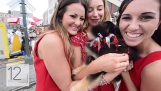 Louisiana State University Alpha Phi || Recruitment 2016