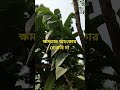 ক্ষমতার অহংকার দেখাবি না। #islamicvideo #unfrezzmyaccount #inspirationalquotes #bitsietulloch